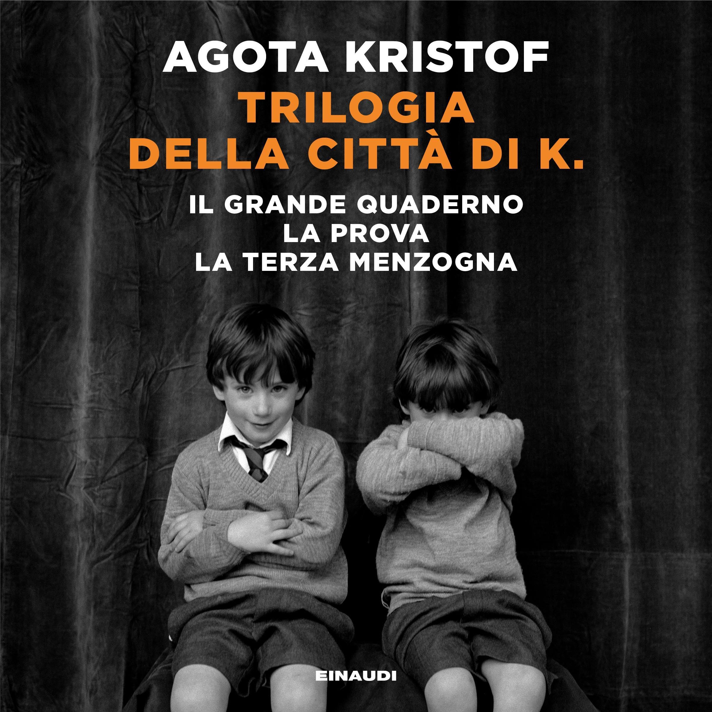 Trilogia della città di K. book cover