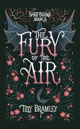 The Fury of the Air book cover