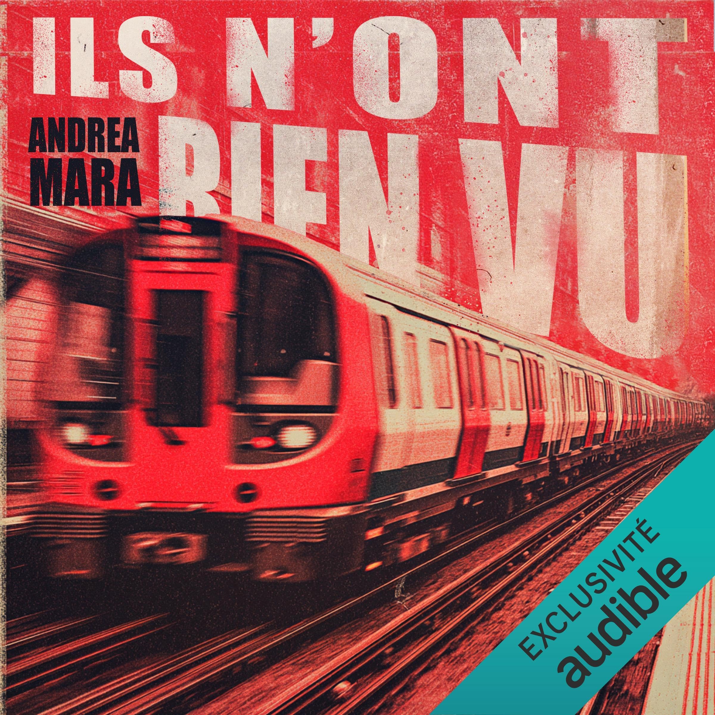 Ils n'ont rien vu book cover
