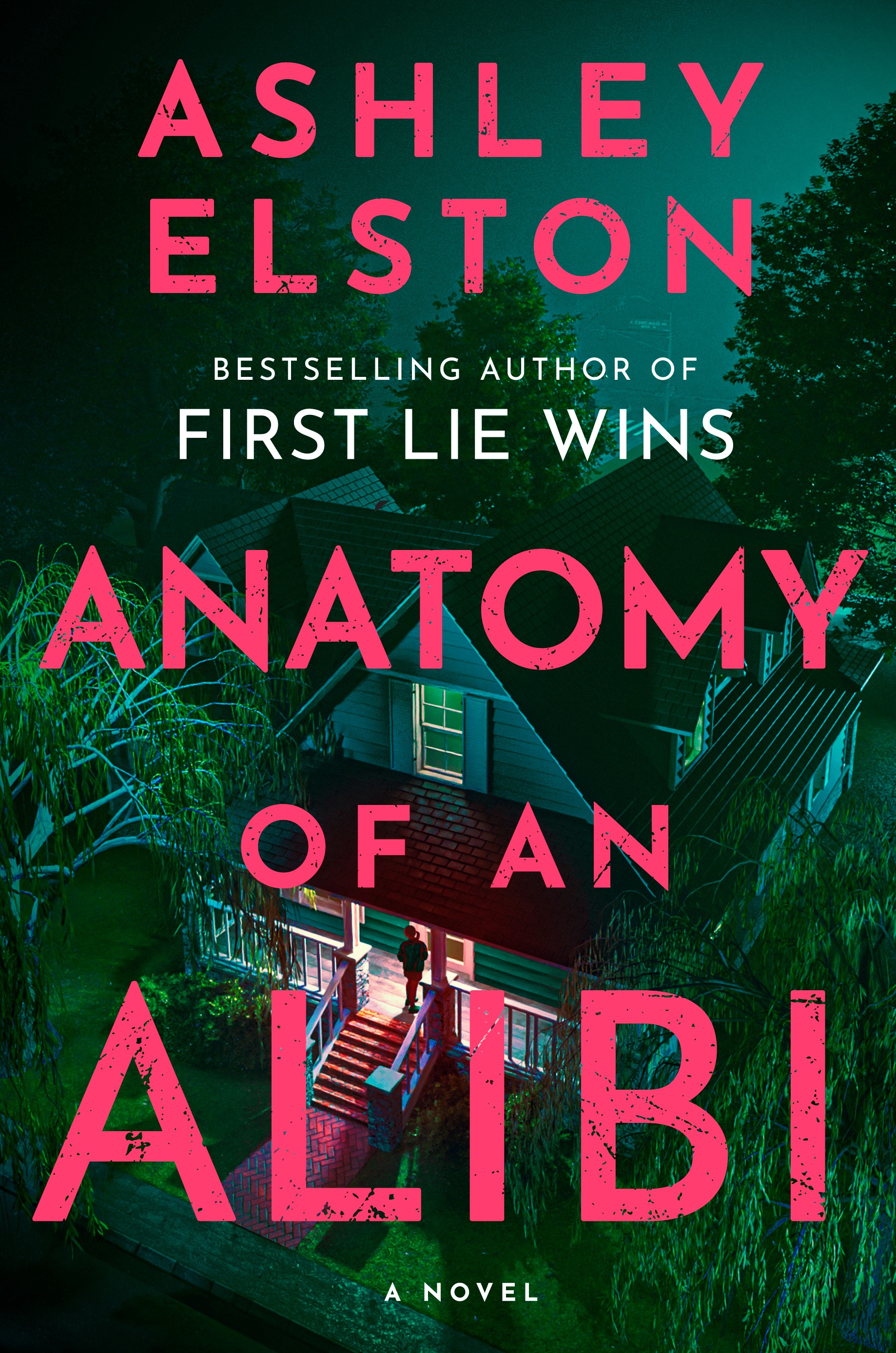Anatomy of an Alibi Book Cover
