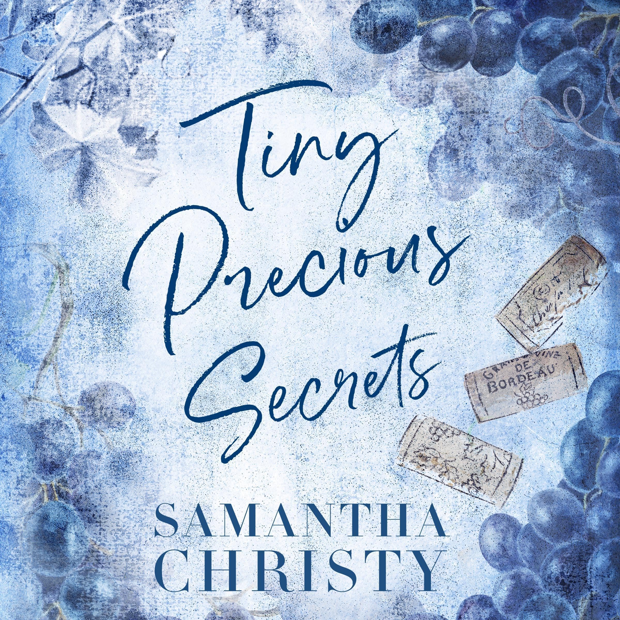 Tiny Precious Secrets book cover