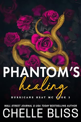 Phantom's Healing book cover