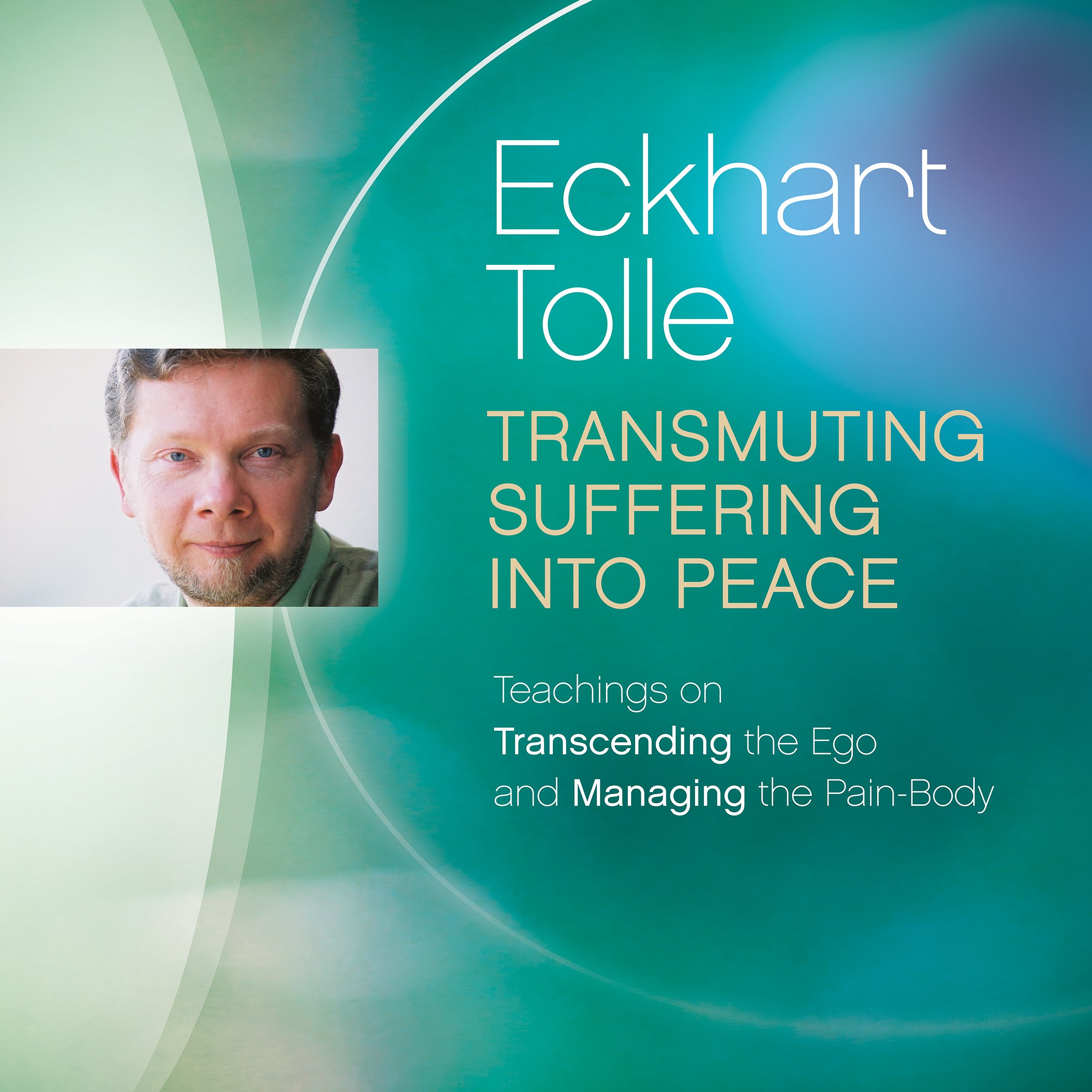 Transmuting Suffering into Peace book cover