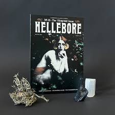 Hellebore #13 book cover