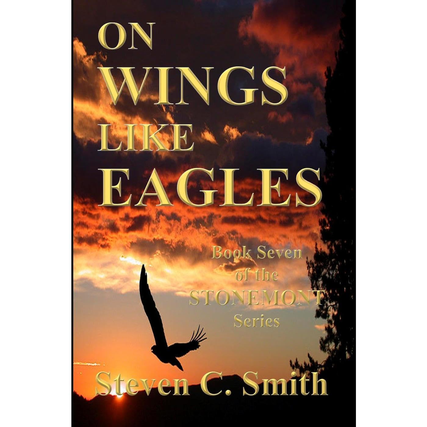 On Wings Like Eagles book cover