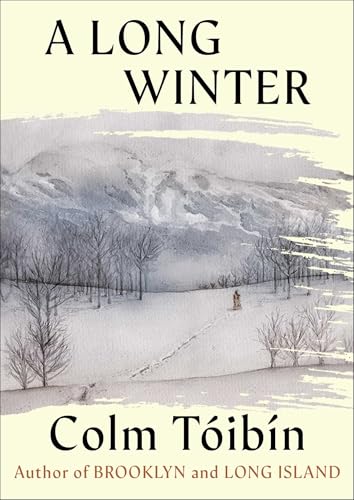 A Long Winter book cover
