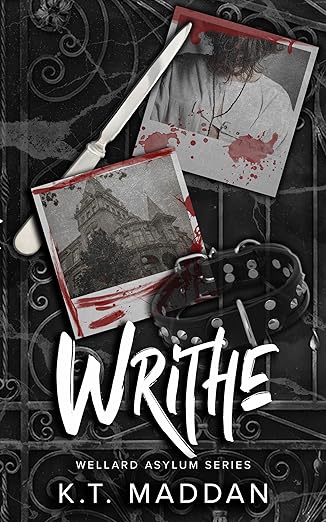 Wellard Asylum book cover 1