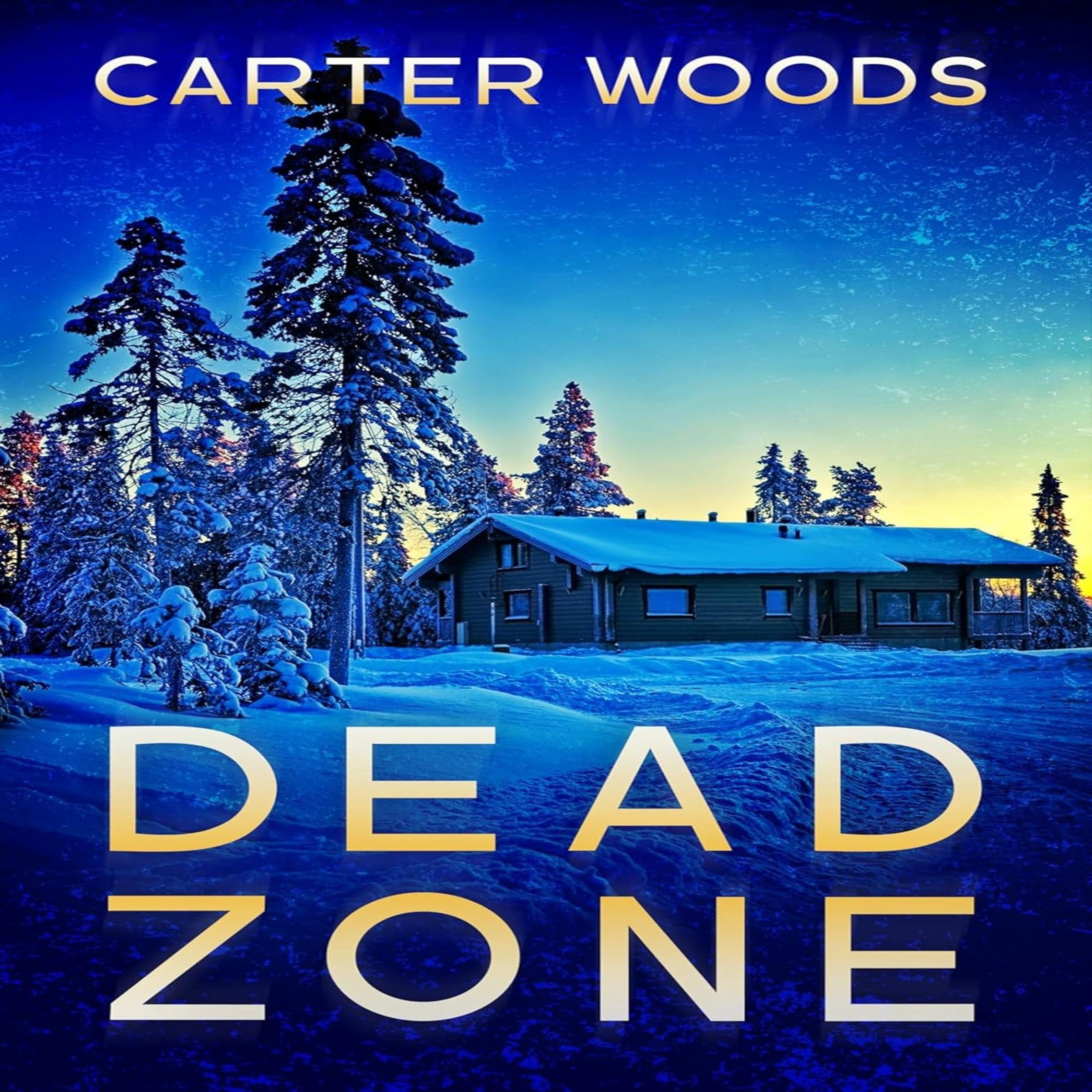 Dead Zone book cover