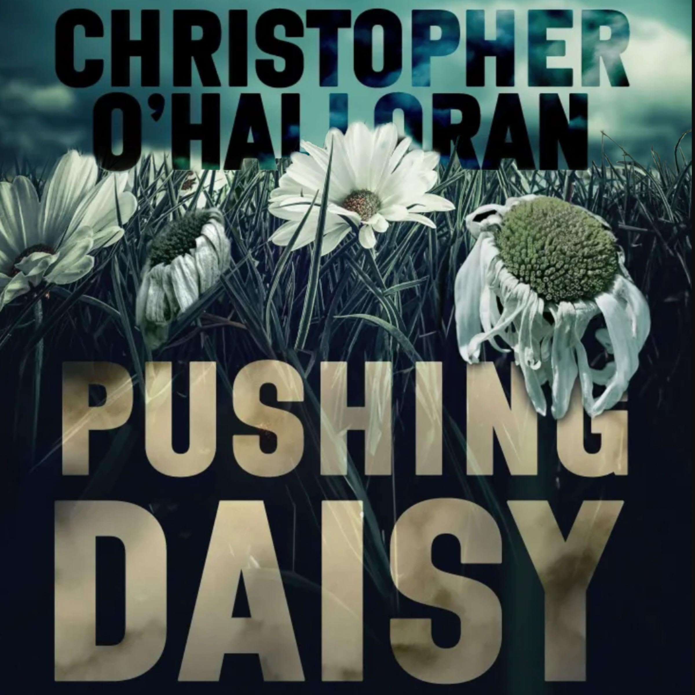 Pushing Daisy book cover