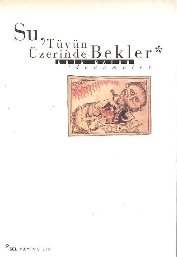 Su, Tüyün Üzerinde Bekler book cover