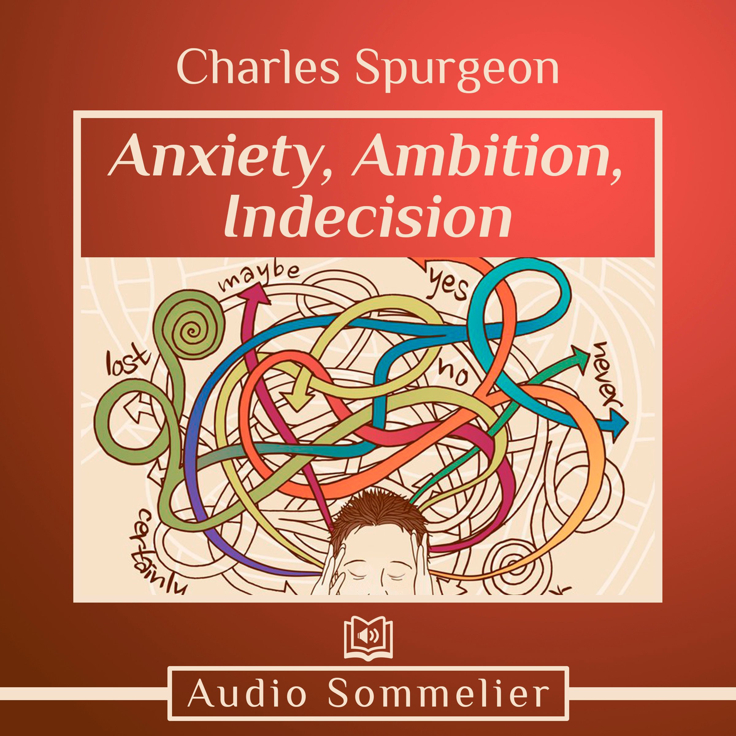 Anxiety, Ambition, Indecision book cover