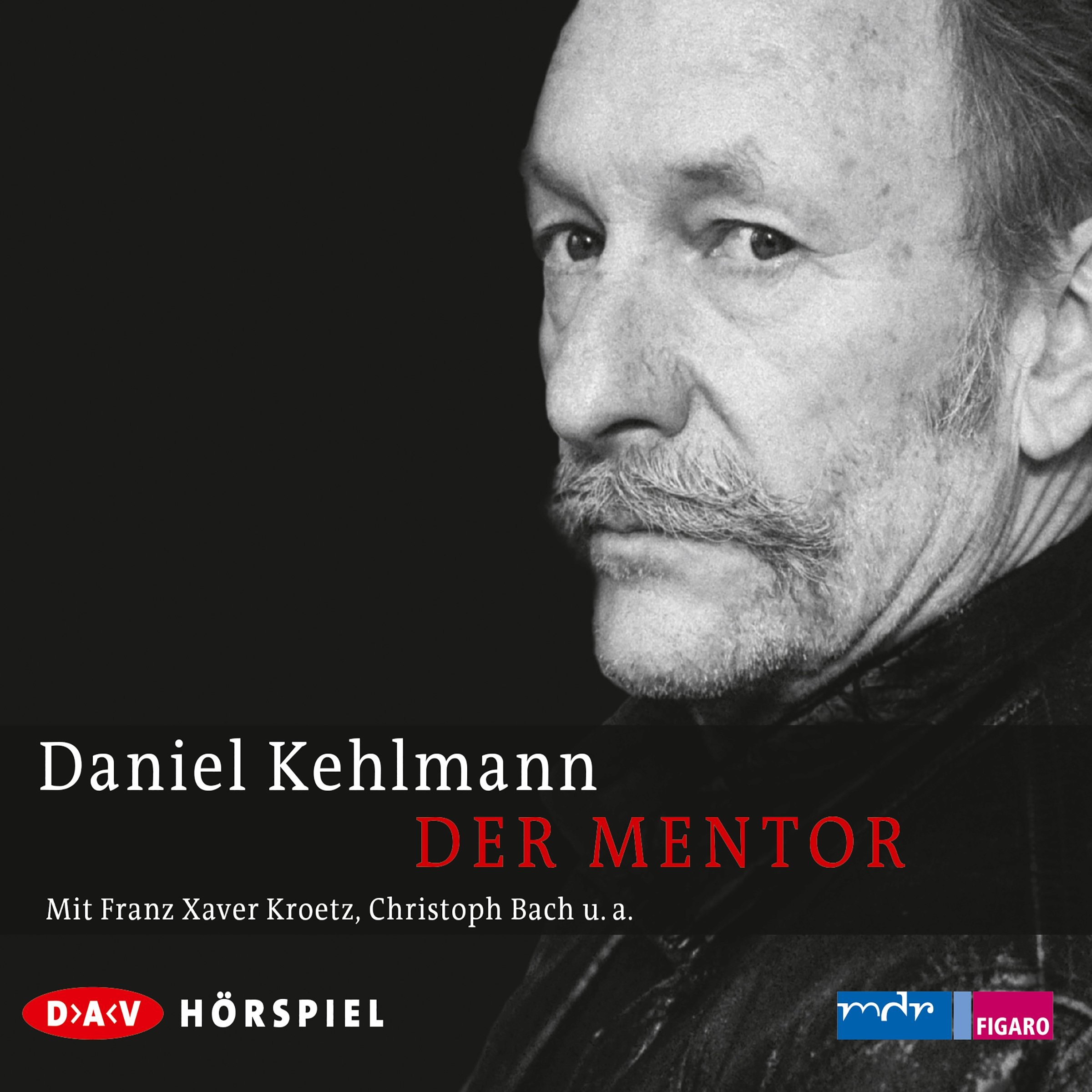 Der Mentor book cover