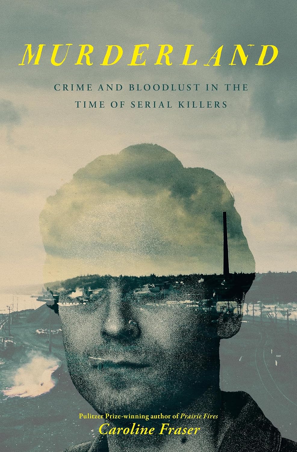 Murderland: Crime and Bloodlust in the Time of Serial Killers