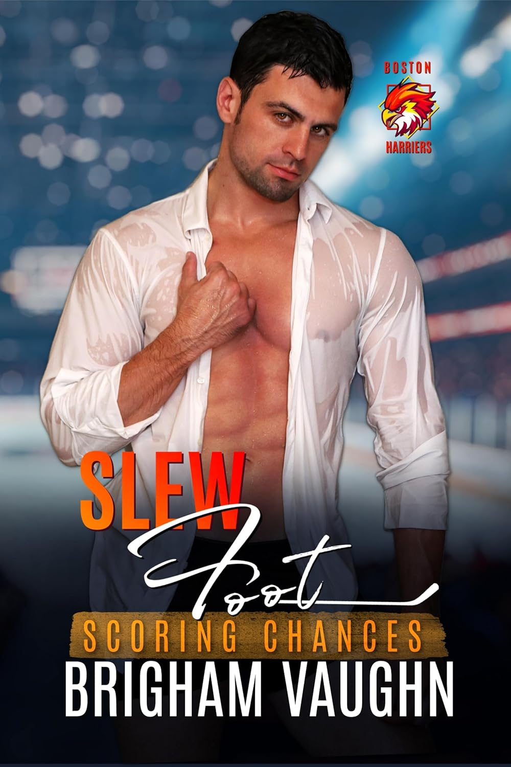 Scoring Chances book cover 3