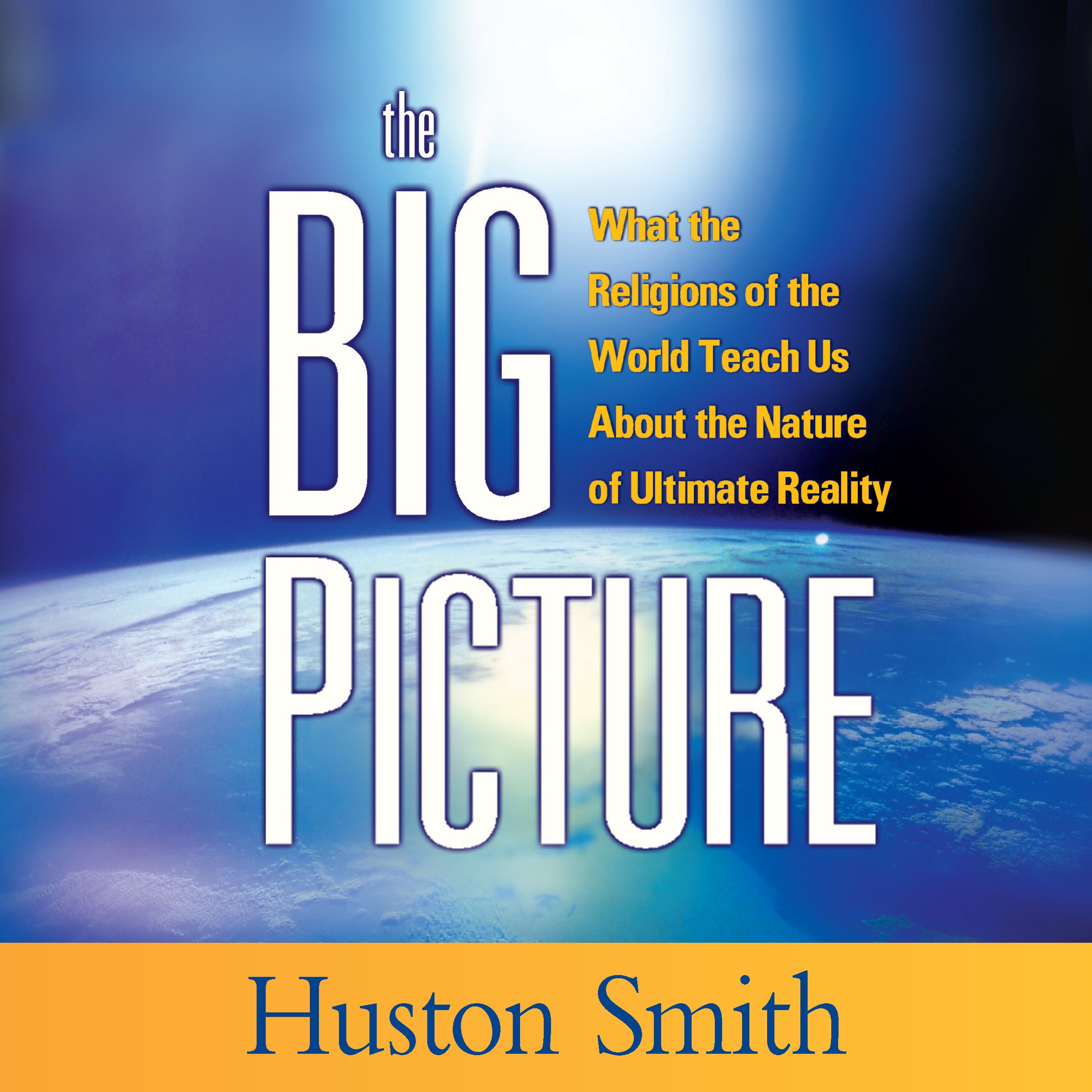 The Big Picture book cover