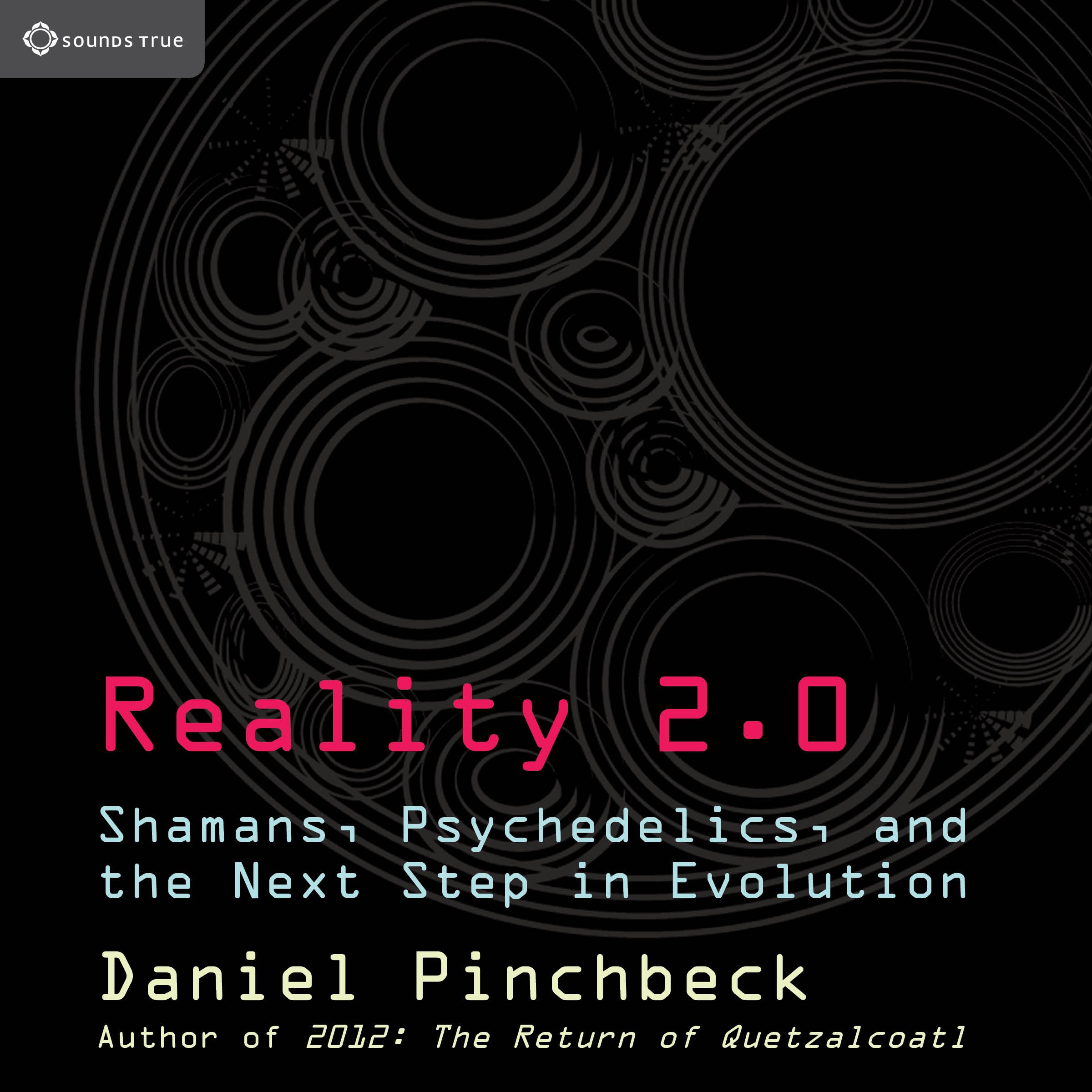 Reality 2.0 book cover