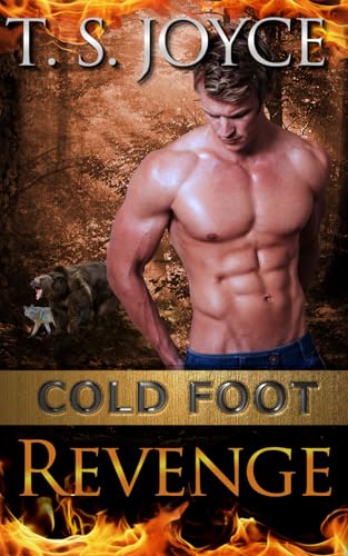 Cold Foot Revenge book cover