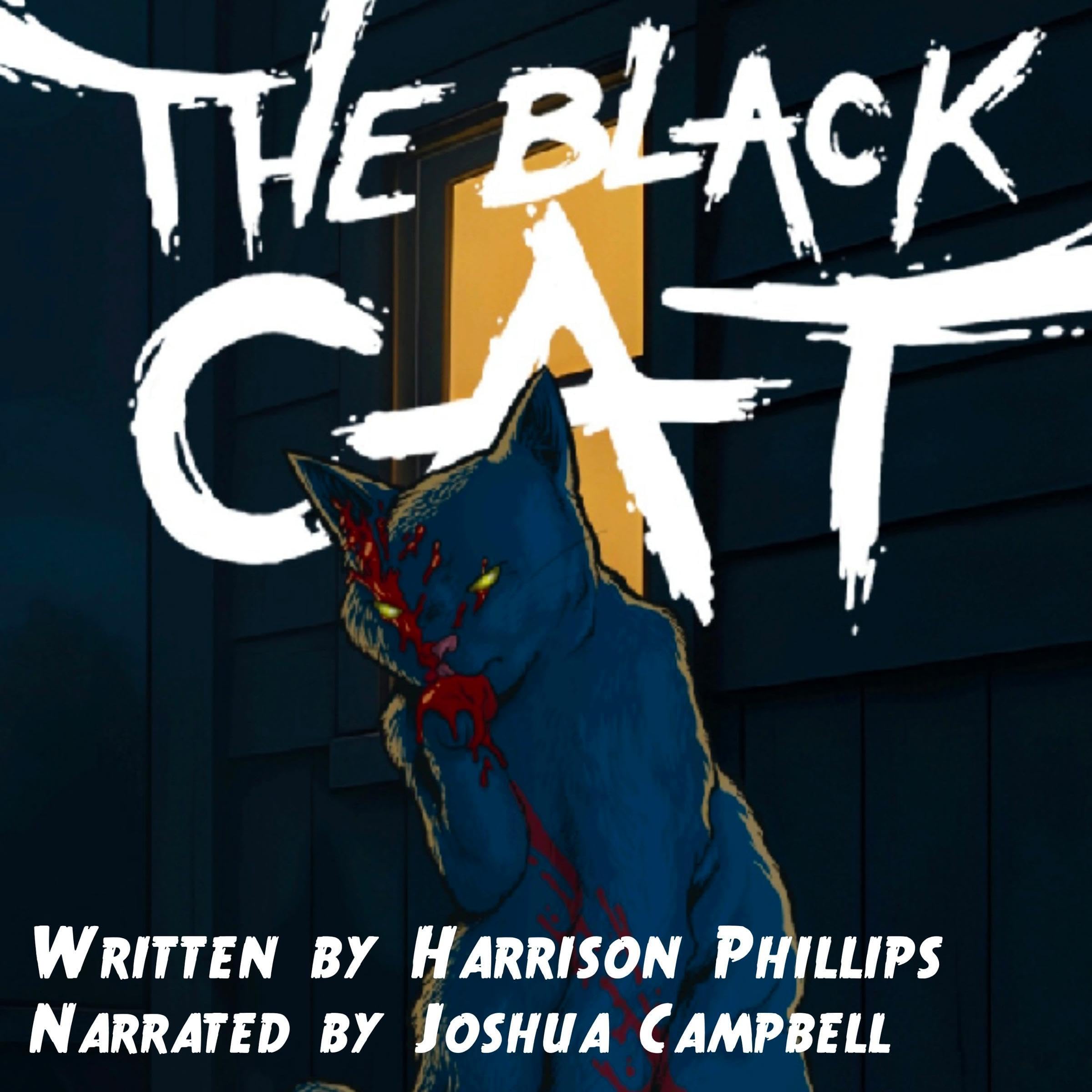 The Black Cat book cover
