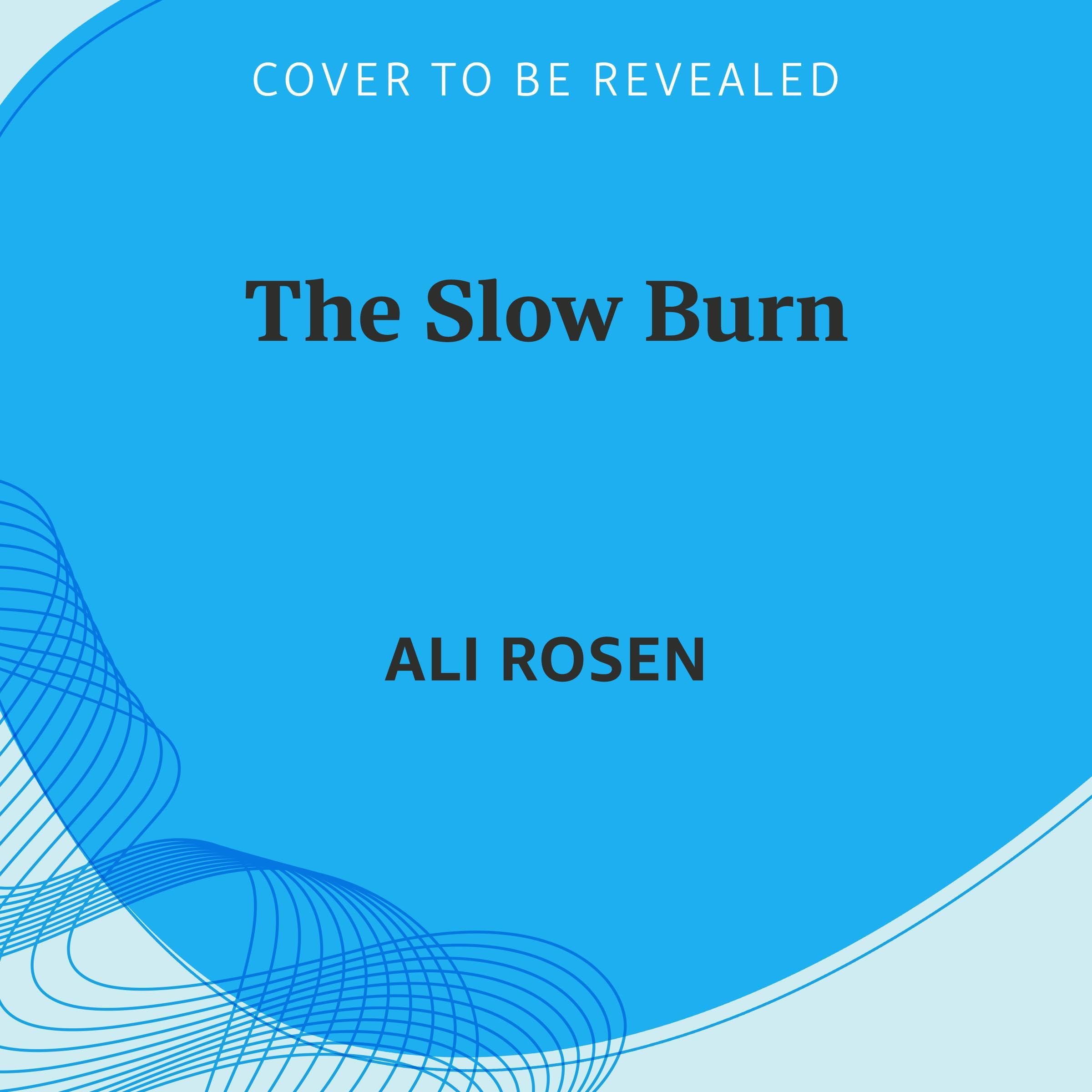 The Slow Burn book cover