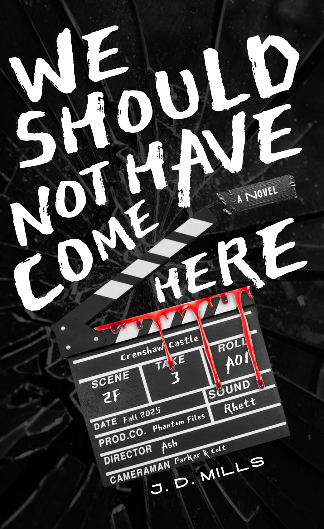 We Should Not Have Come Here book cover