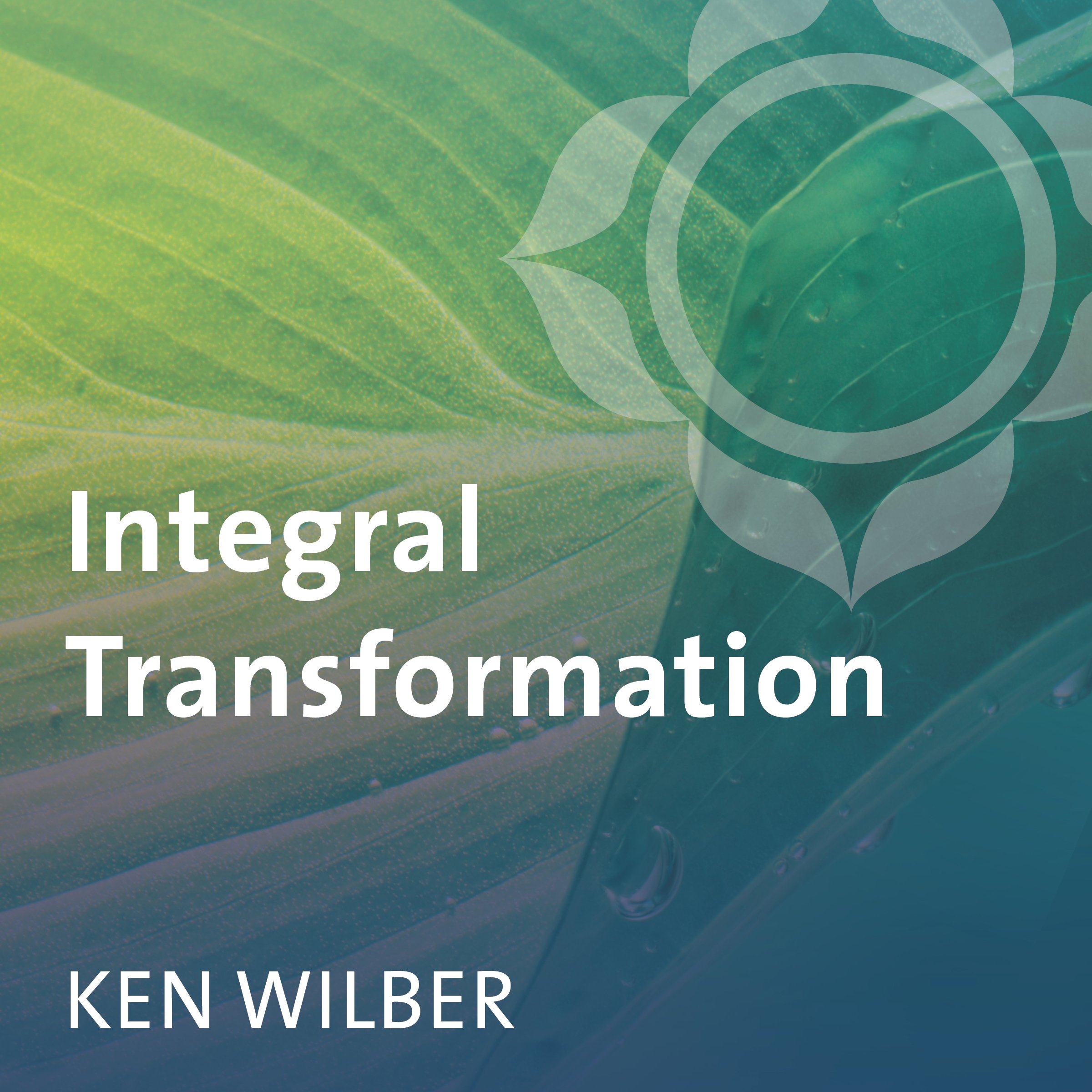 Integral Transformation book cover