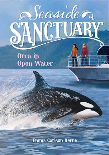 Seaside Sanctuary book cover 3