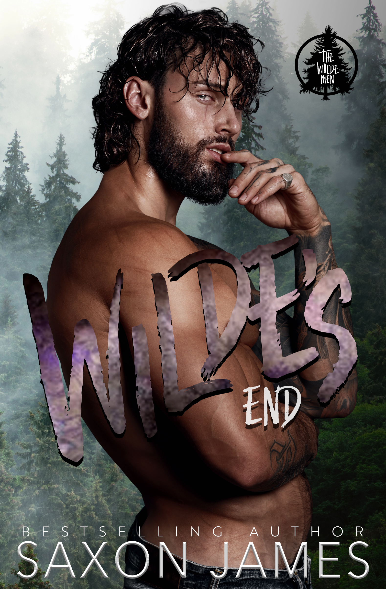 The Wilde Men book cover 1