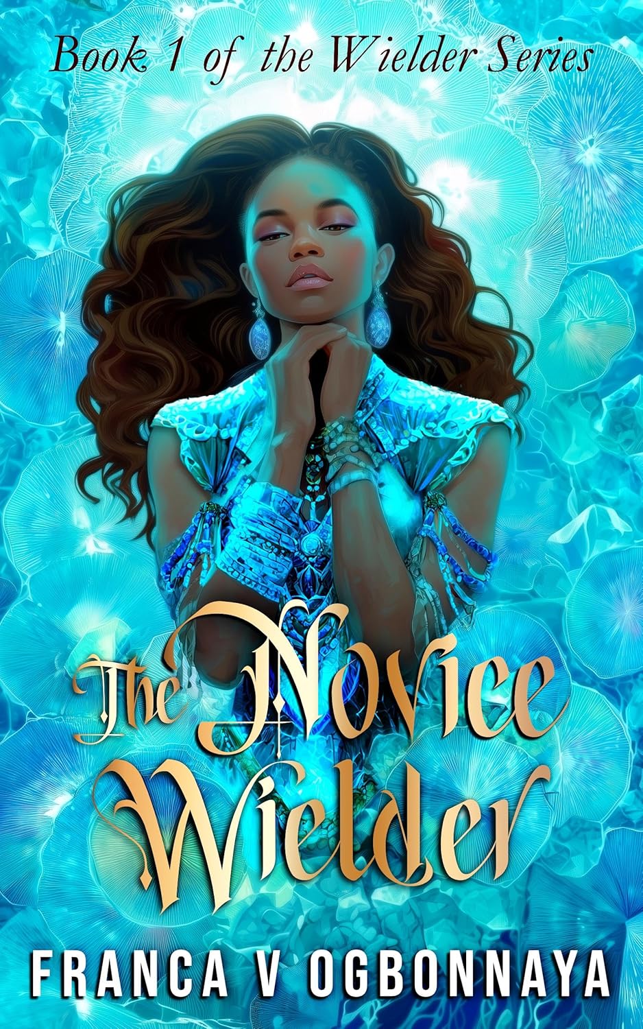 The Novice Wielder (The Wielder Series #1)
