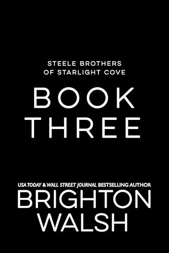 Steele Brothers of Starlight Cove book cover 3
