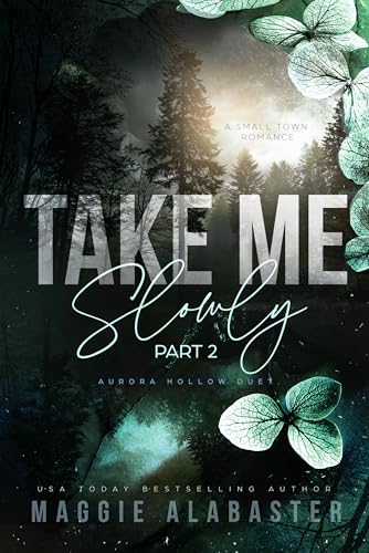 Take Me Slowly part 2 book cover