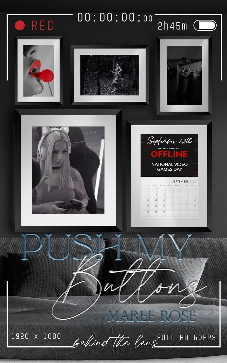 Push My Buttons book cover