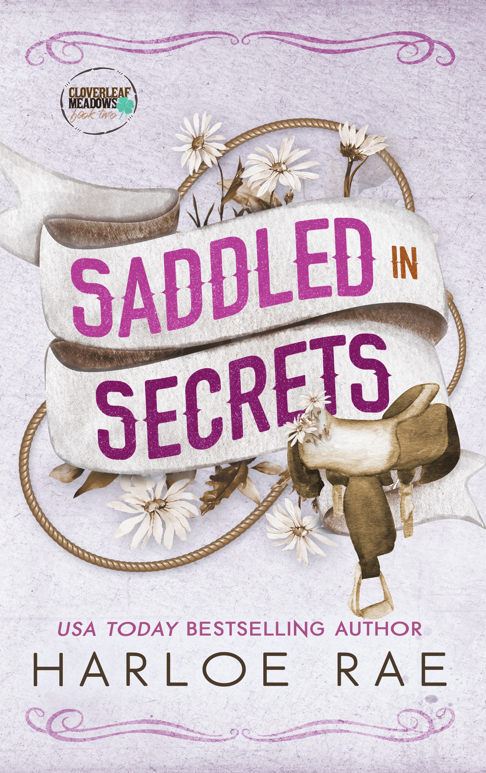 Saddled in Secrets book cover