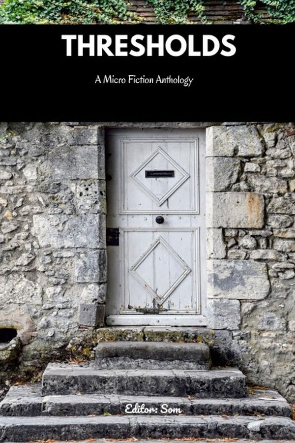 THRESHOLDS: A Micro Fiction Anthology by Scott C. Holstad | Goodreads