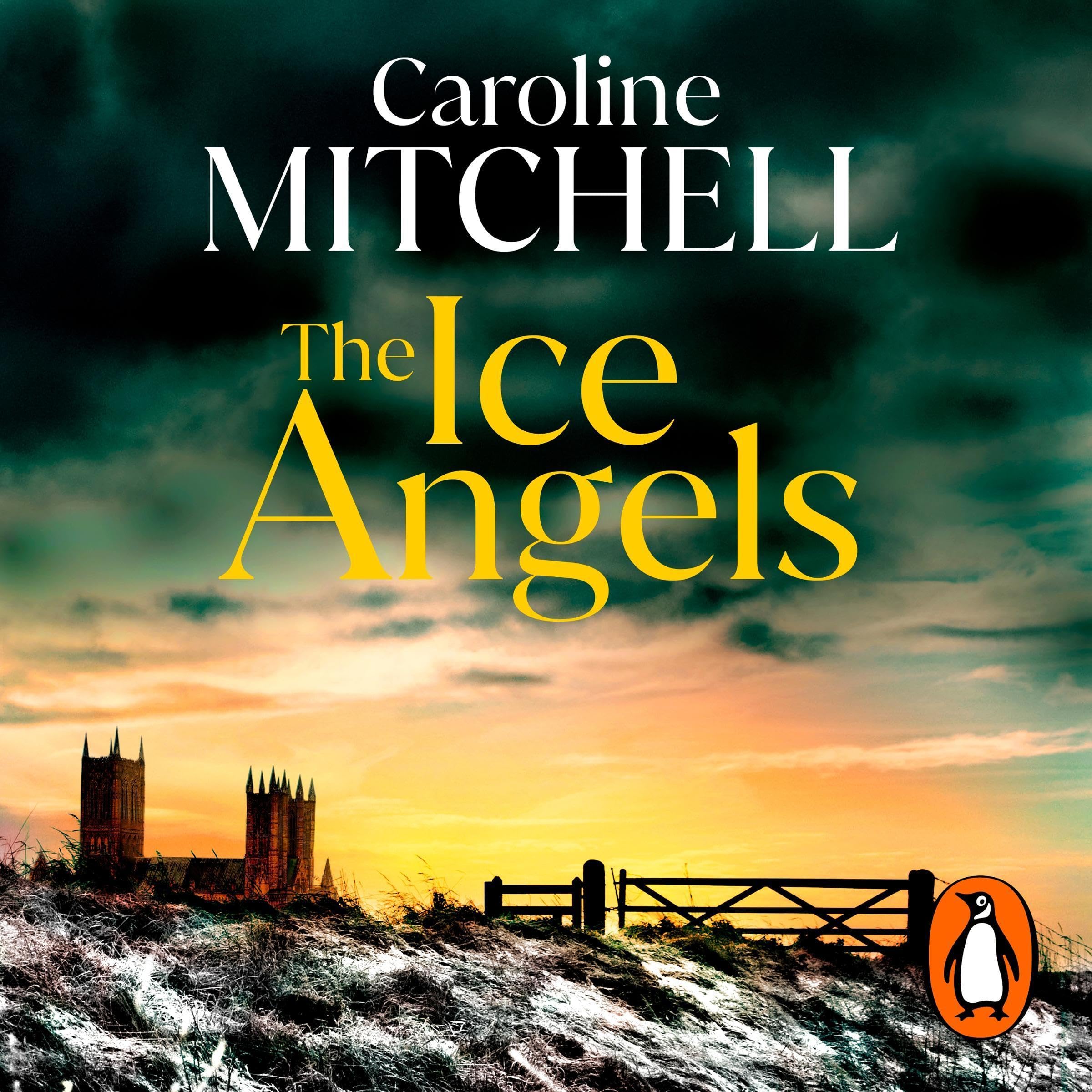 The Ice Angels book cover