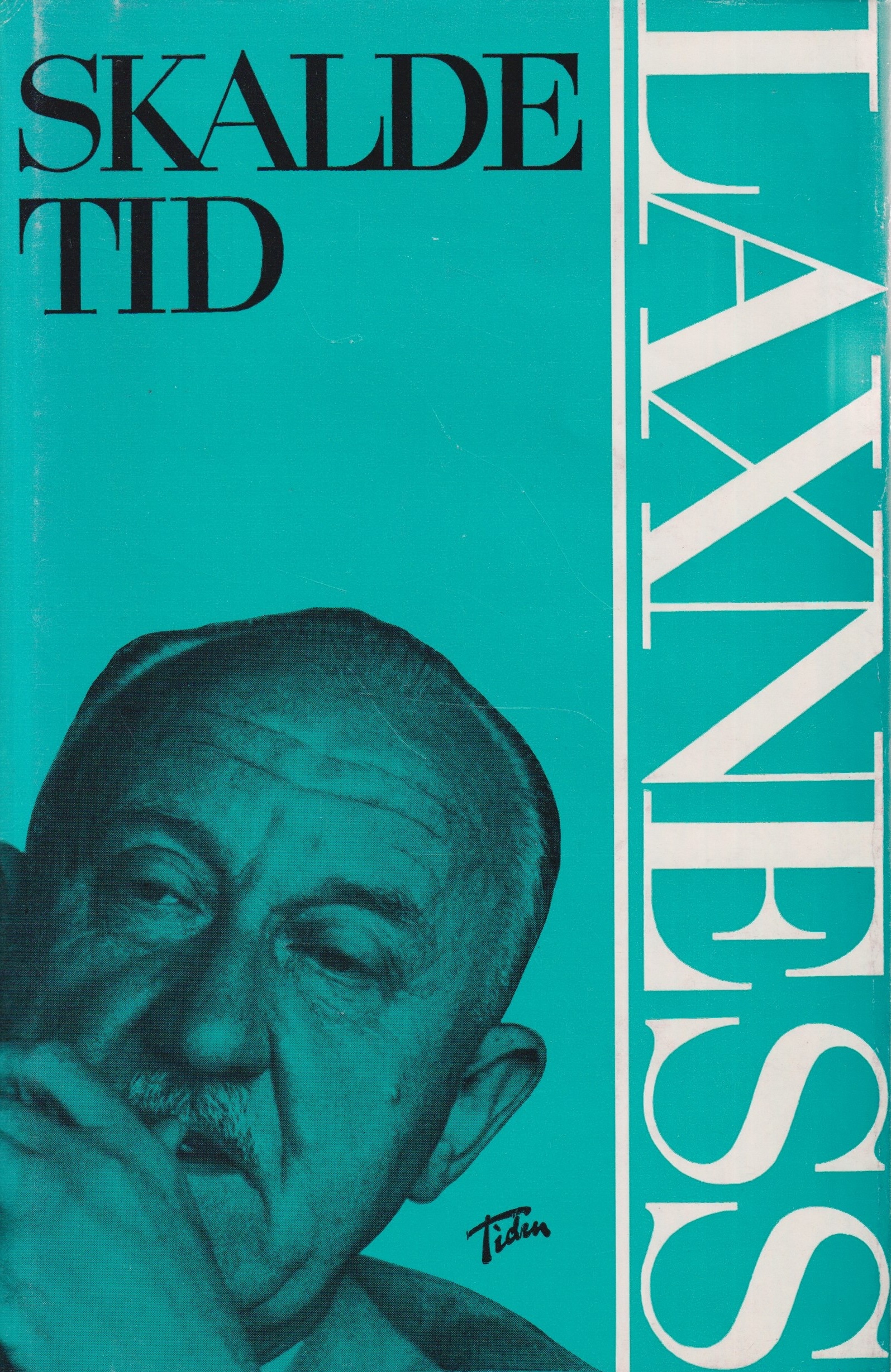 Skaldetid book cover