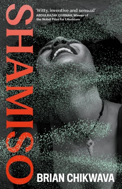 Shamiso book cover