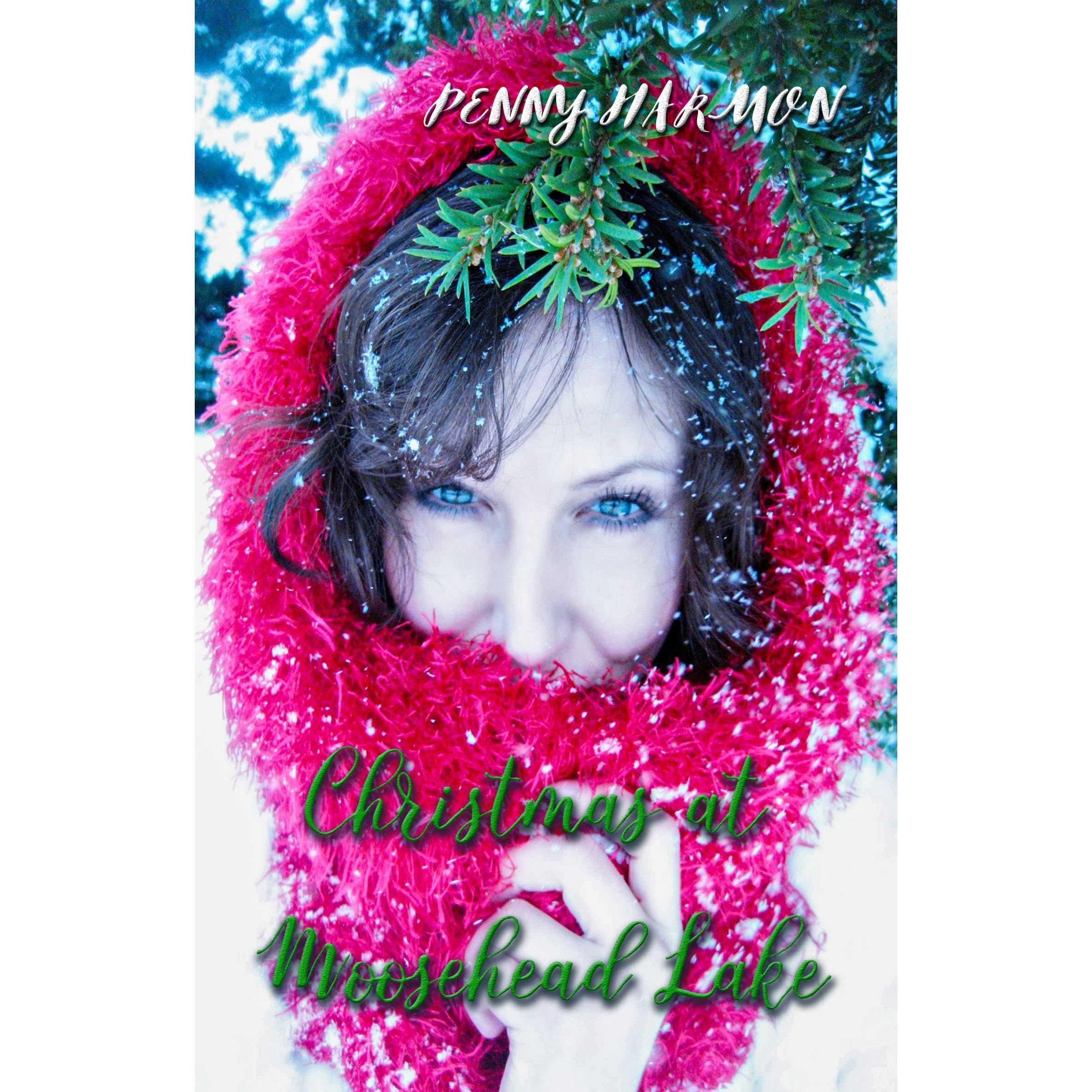 Christmas at Moosehead Lake book cover