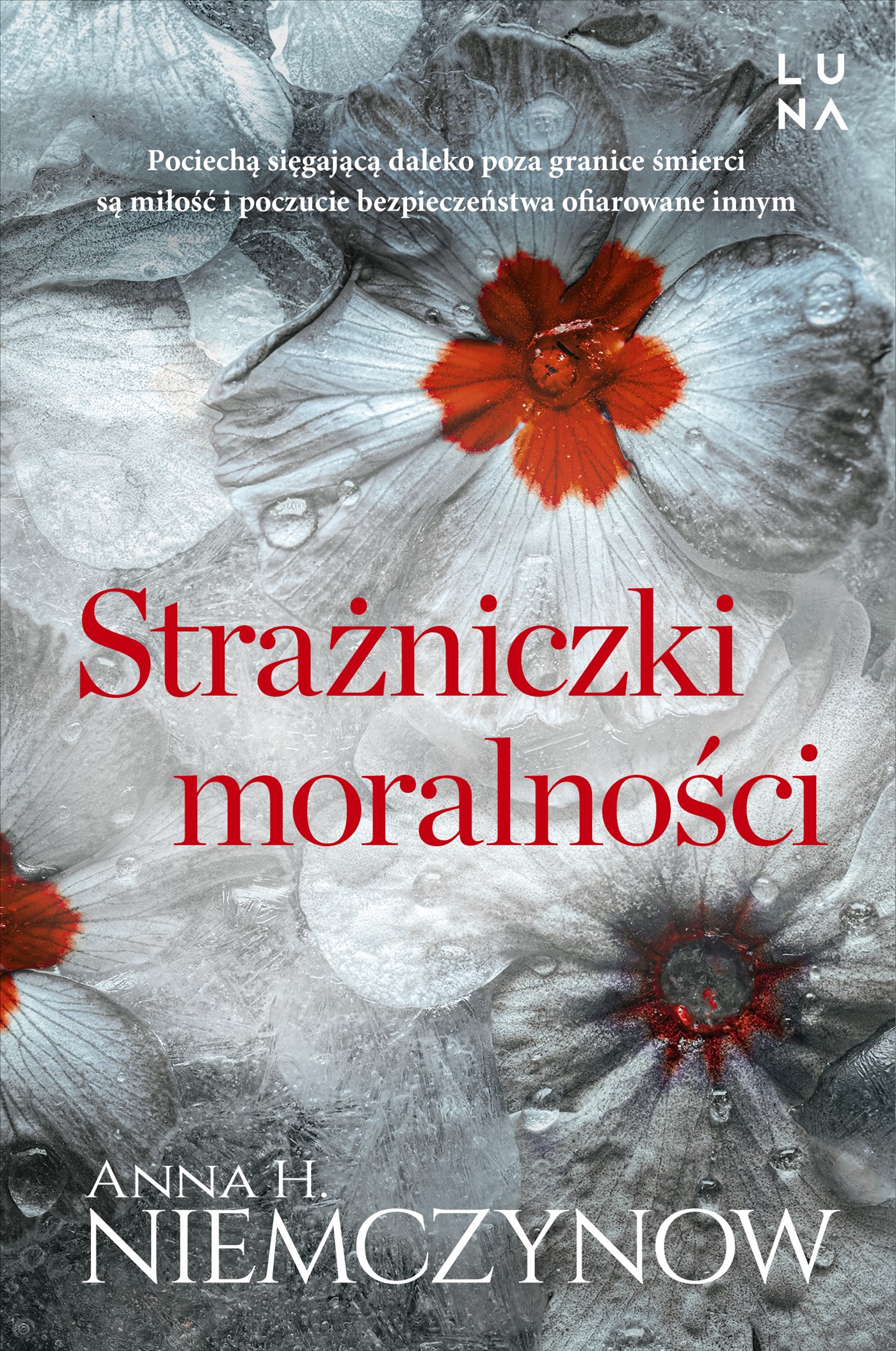 Strażniczki moralności book cover