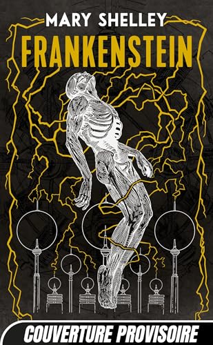 Frankenstein ou le Prométhée moderne book cover