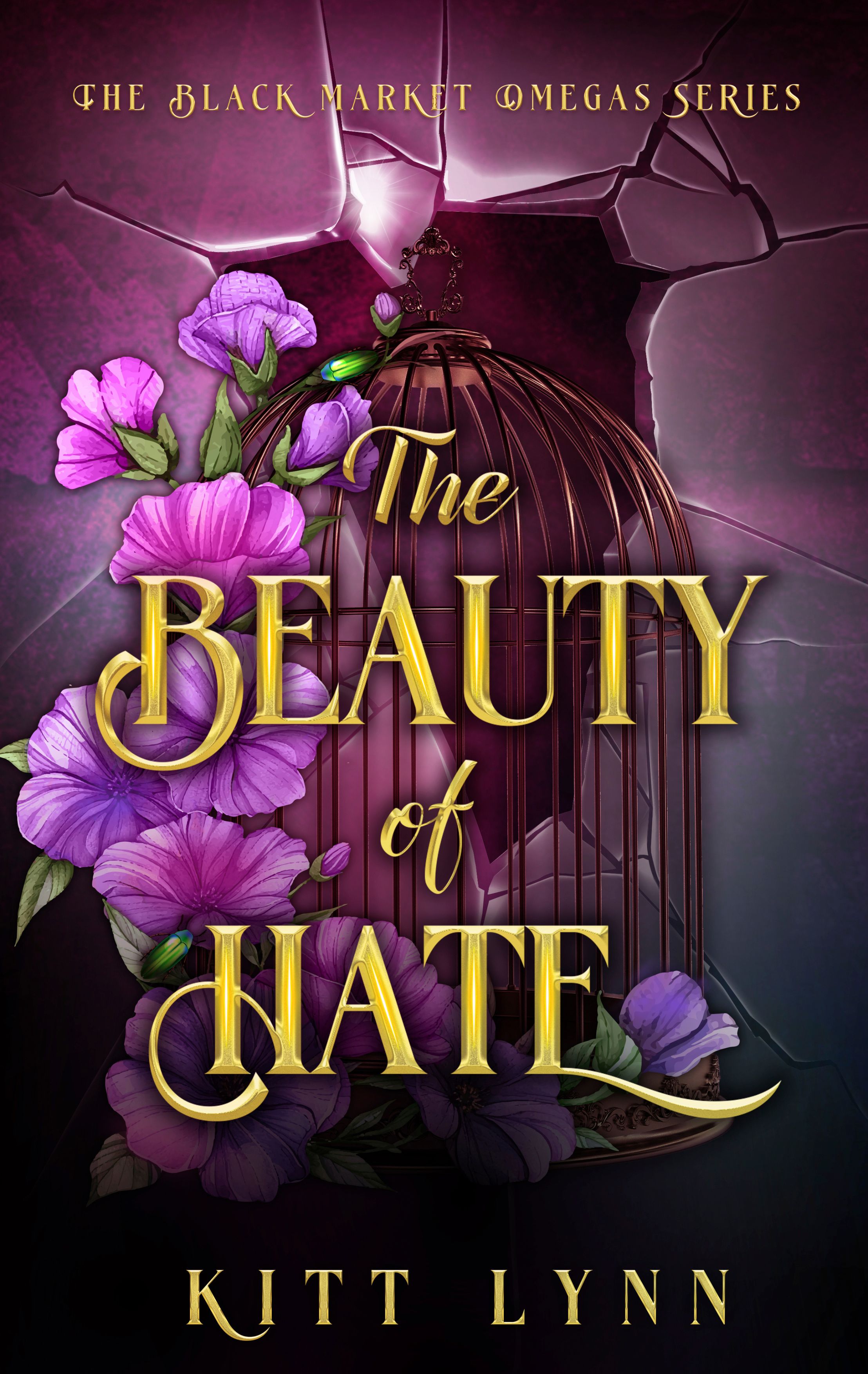The Beauty of Hate book cover