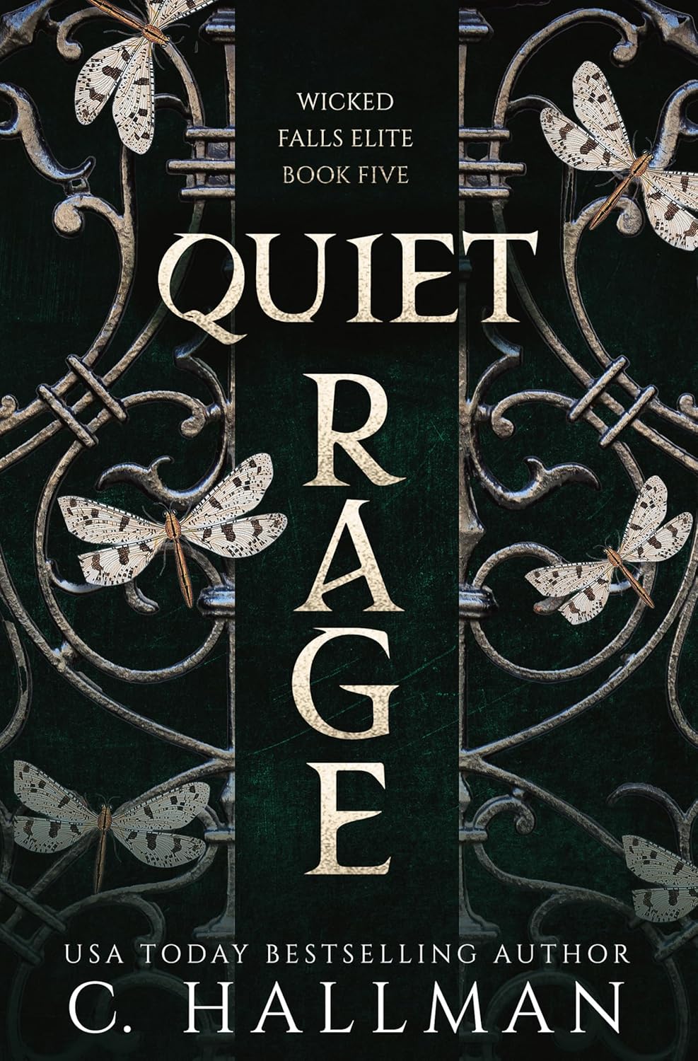 Quiet Rage book cover