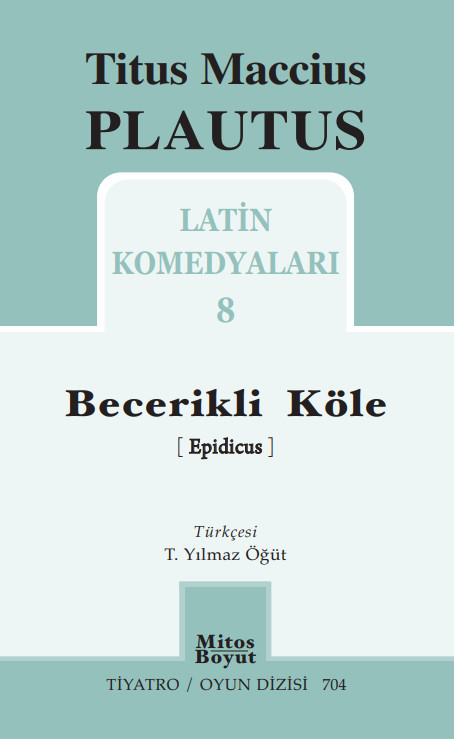 Becerikli Köle book cover