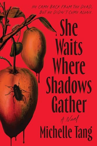 She Waits Where Shadows Gather book cover