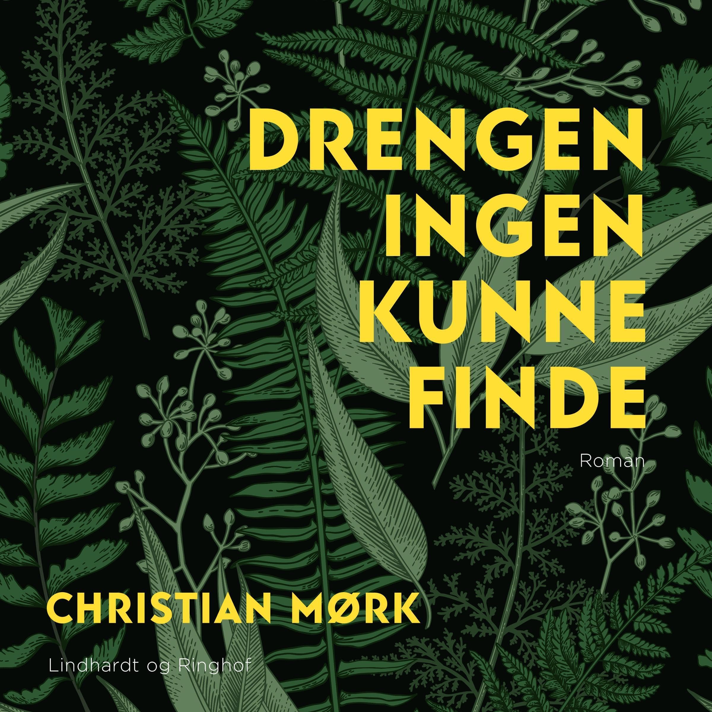 Drengen ingen kunne finde book cover