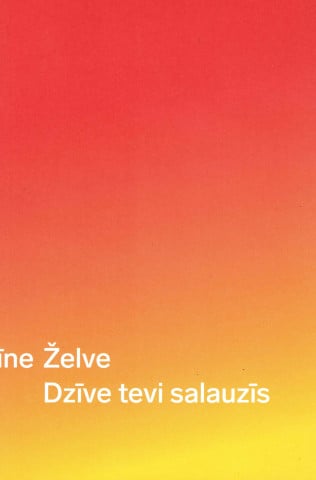 Dzīve tevi salauzīs book cover