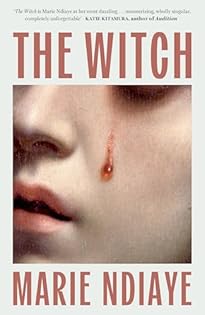 The Witch book cover