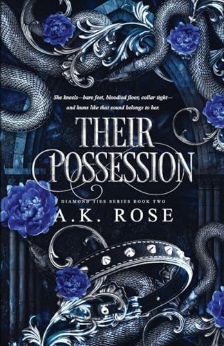 Their Possession book cover