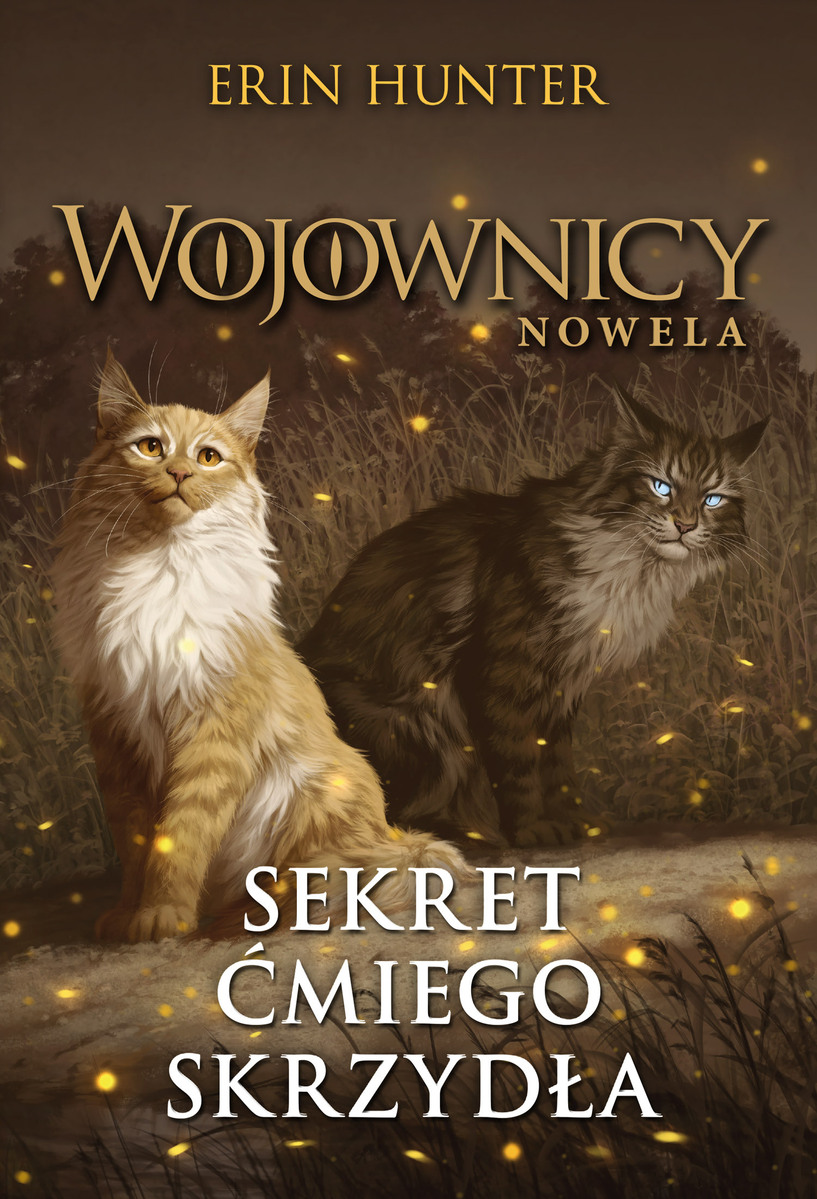 Mothwing's Secret book cover