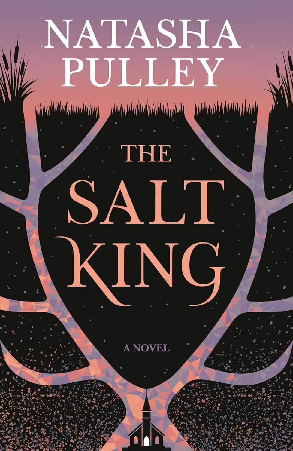 The Salt King book cover