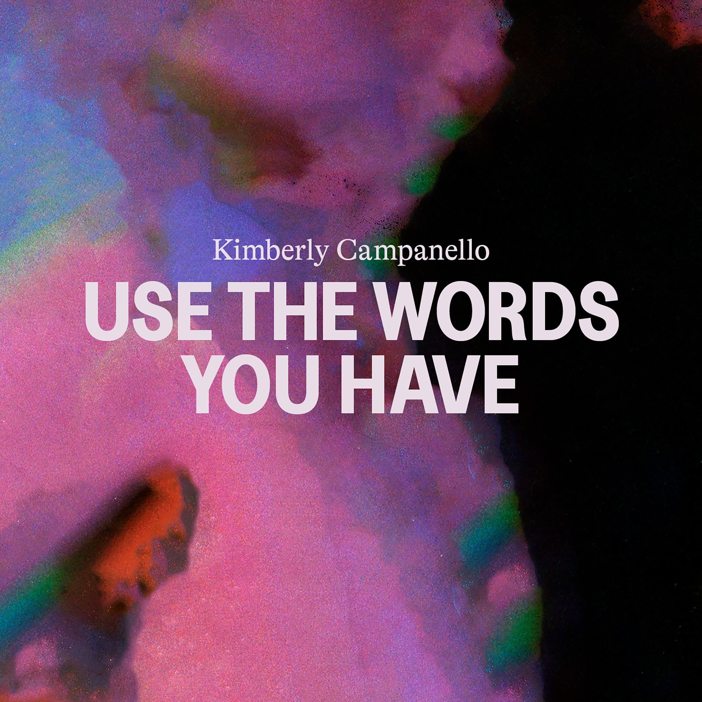 Use the Words You Have book cover